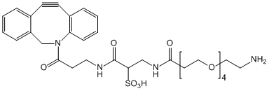 Sulfo DBCO-PEG4-NH2