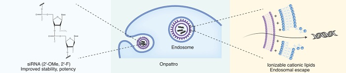 (Onpattro)