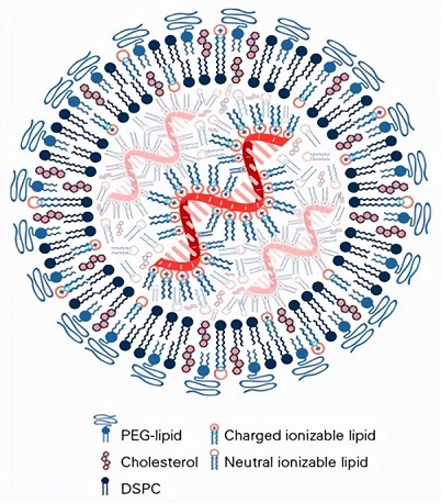 PEG-lipid