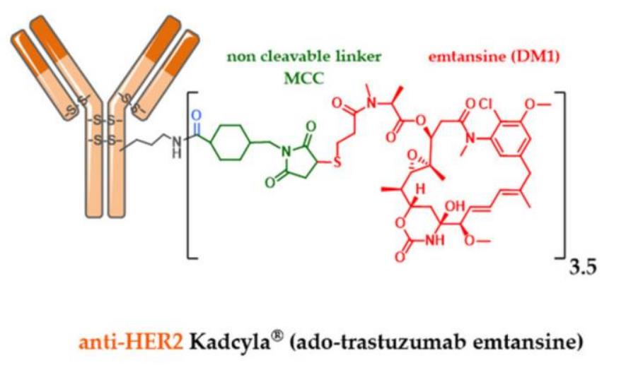 Trastuzumab-emtansine-(T-DM1)