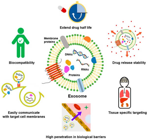 Advantages of exosomes as drug delivery vehicles 