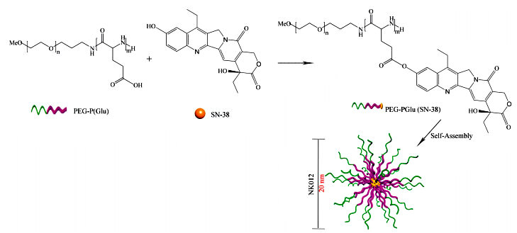 Camptothecin & Its Derivatives for Cancer Therapy Camptothecin & Its Derivatives for Cancer Therapy