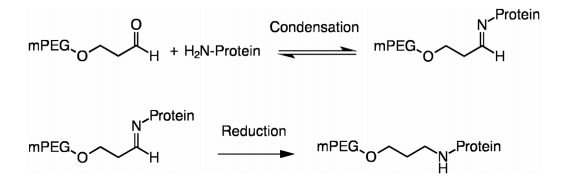 Aldehyde-conjugation