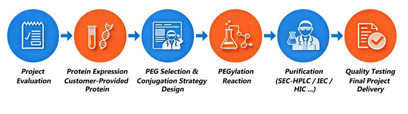 pegylation-workflow