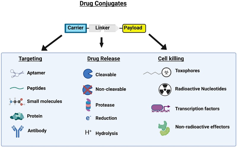 drug-conjugates-are-composed-of-3-parts-scaled