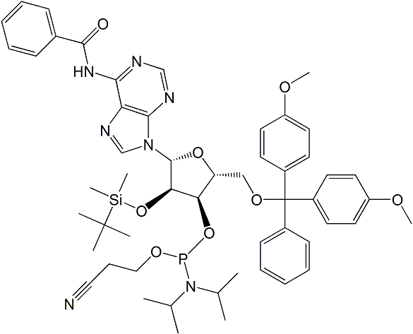 DMT-2′O-TBDMS-rA(bz) Phosphoramidite