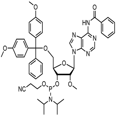 DMT-2′O-Methyl-rA(bz) Phosphoramidite
