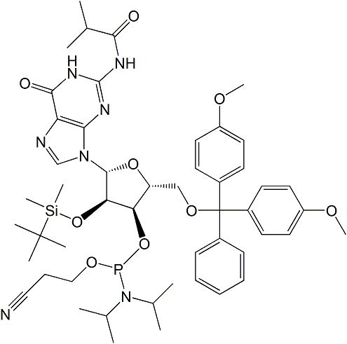 DMT-2′O-TBDMS-rG(ib) Phosphoramidite