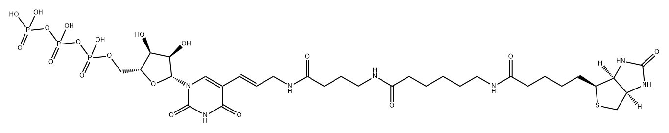 Biotin-UTP(10mM) 1mL